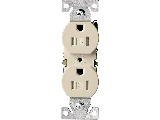 Resistant Duplex Receptacle 15 Amp/125 Volt, Ivory