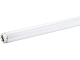 Cool White T8 Fluorescent Light Bulb 15 Watt, 18 In