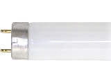 Cool White T8 Fluorescent Light Bulb 30 Watt, 36 In