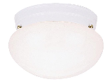 White Ceiling Light Fixture, 9-1/2 In