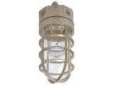 Vapor Tight 100 Watt Incandescent Floodlight