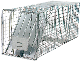 Havahart Raccoon Trap 32 x 10 x 12