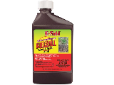 Hi-Yield Killzall 16 Oz. Concentrate Weed & Grass Killer