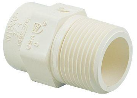 CPVC Male Adapter (Sizes)