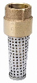 Brass Foot Valve, 2 In