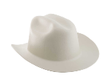 Western Outlaw Hard Hat (Color)