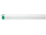 TL741  T8 Fluorescent Bulb, 32 Watt