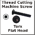 1/4-20 Flat Torx Cut Screw