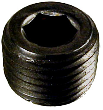 Schedule 40 Black Socket Pipe Plug